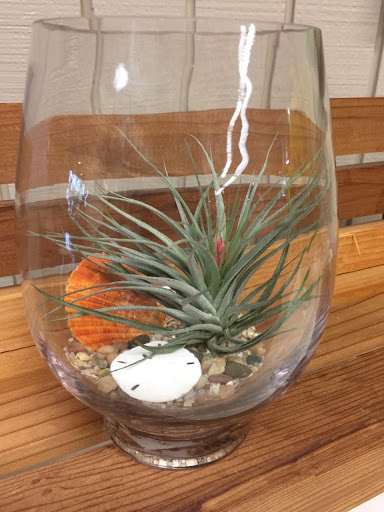 Florist «Grohe Florists», reviews and photos, 1313 McDonald Ave, Santa Rosa, CA 95404, USA