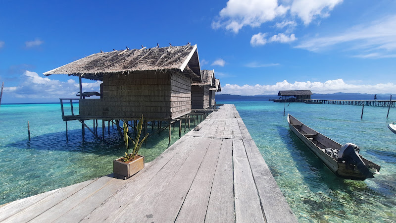 Guest House di Papua Bar: Penginapan yang Nyaman dengan Banyak Tempat Menarik
