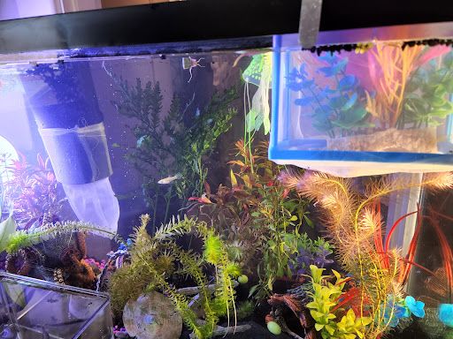 Pet Store «Aqua World Pet Super Center», reviews and photos, 8143 Ohio River Blvd, Pittsburgh, PA 15202, USA