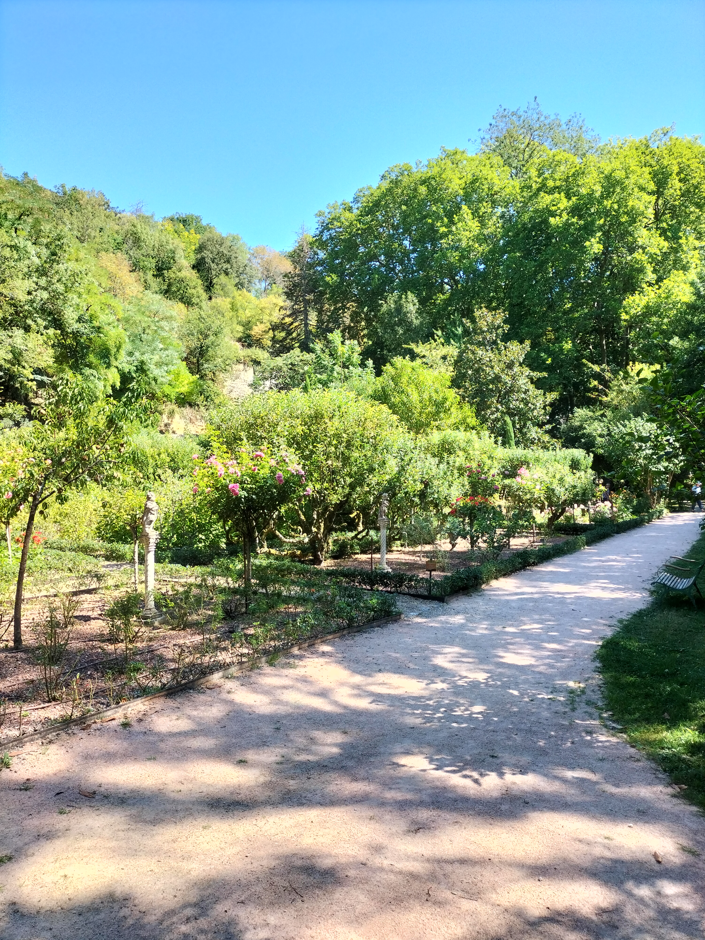 Photo n° 1 de l'avis de delys.a fait le 11/08/2022 à 15:07