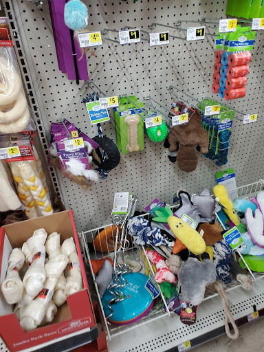 Discount Store «Dollar General», reviews and photos, 417 Palmer Ave, Corinth, NY 12822, USA