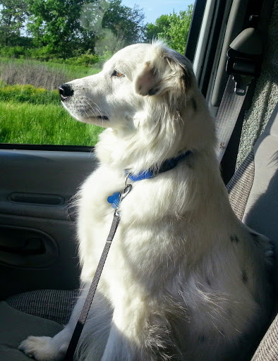 712 S Center Rd, Frankfort, IL 60423, USA