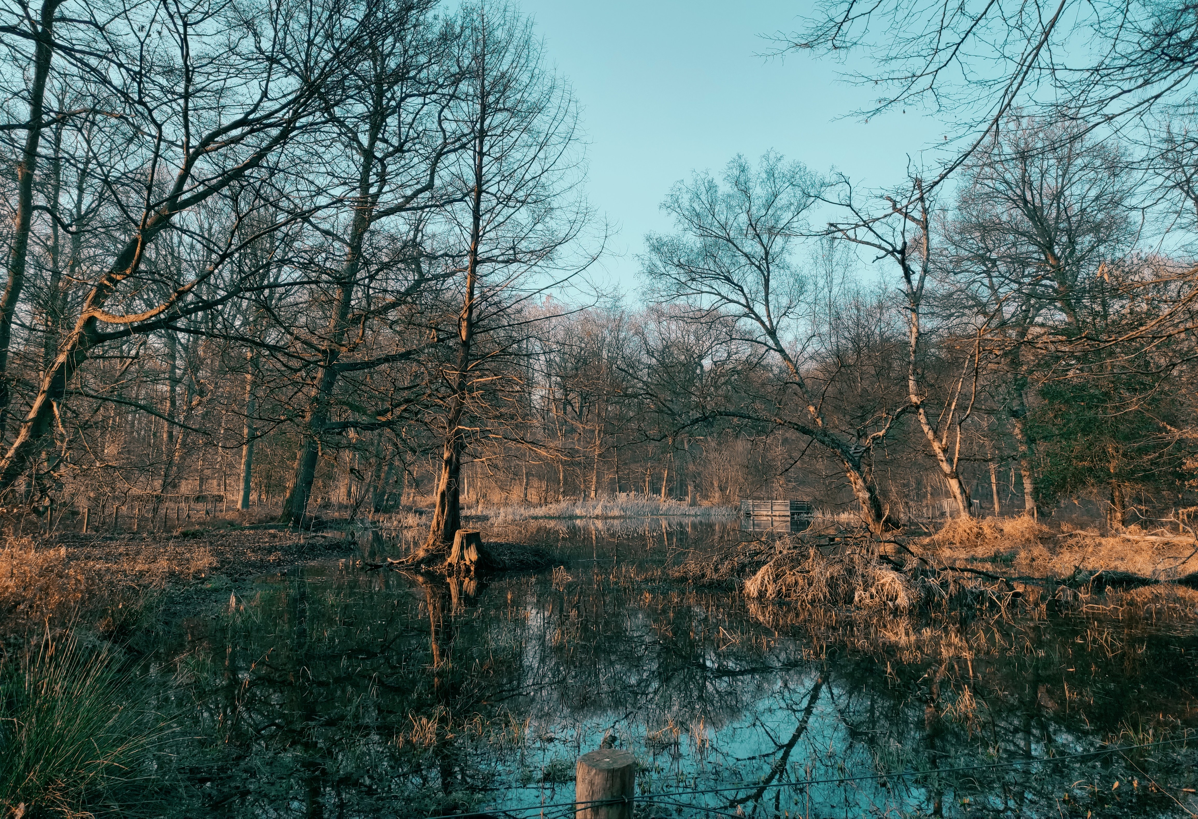 Photo n° 3 de l'avis de Alicia.� fait le 20/03/2021 à 22:35