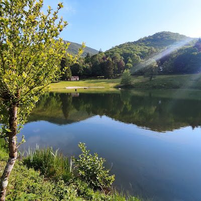 Lac d’Albine à Albine