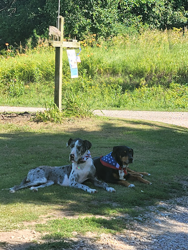 Lundeen Animal Hospital image