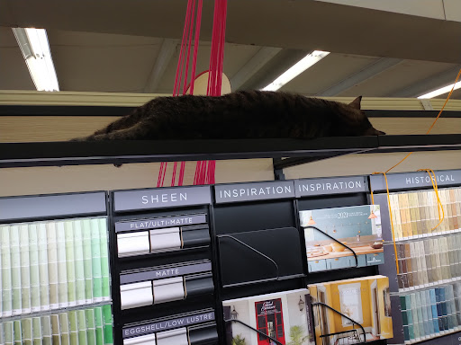 Hardware Store «Ace Hardware/Lumber of Pilot Point», reviews and photos, 316 US-377, Pilot Point, TX 76258, USA