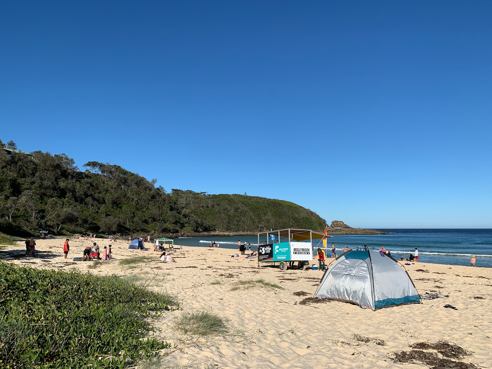 Photo de Mollymook Beach et le règlement
