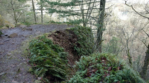 Waterfall «Horsetail Falls», reviews and photos, Historic Columbia River Hwy, Cascade Locks, OR 97014, USA