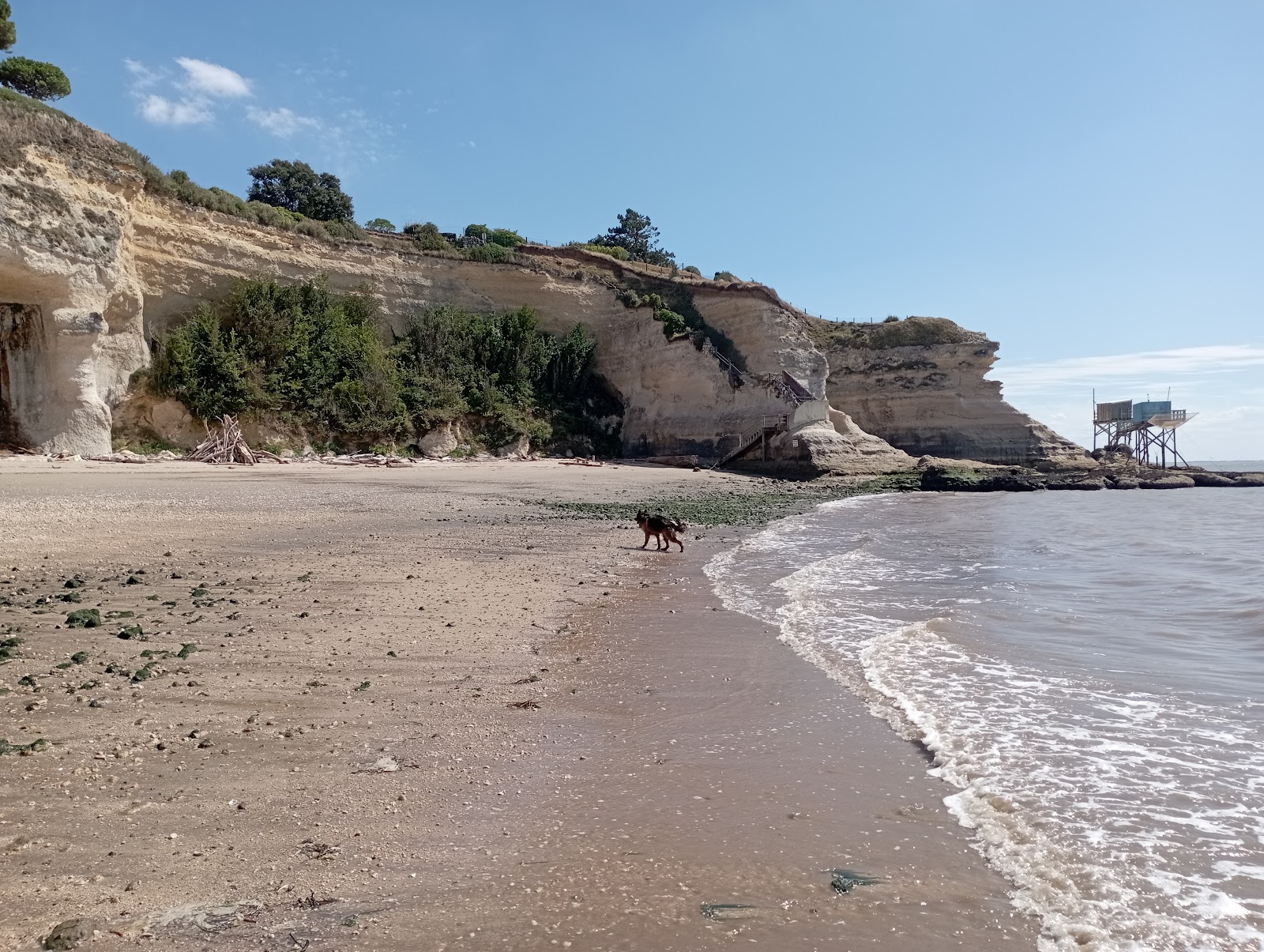 Photo de Conche des Cadets Beach et le règlement