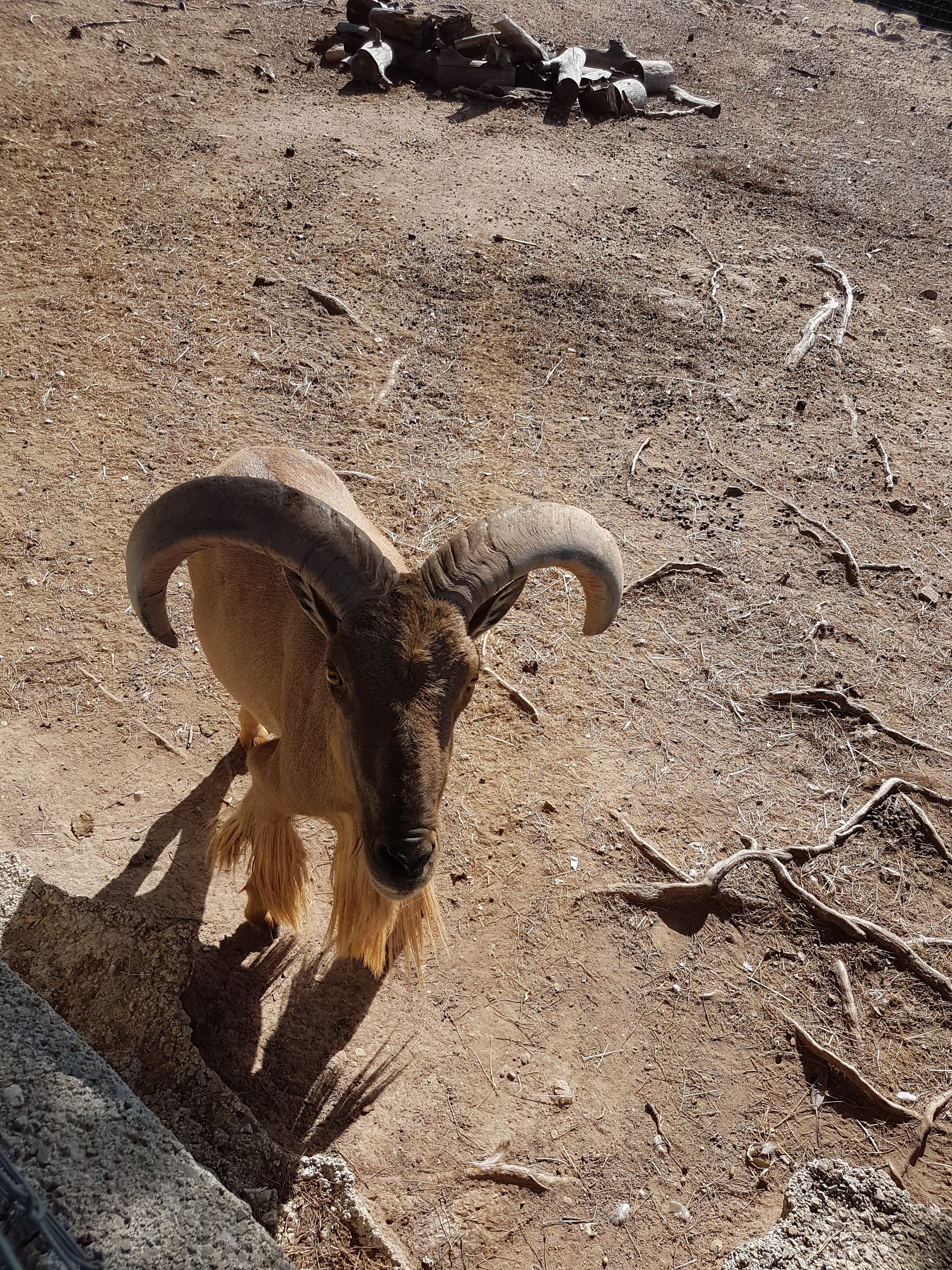 Photo n° 20 de l'avis de Armand.A fait le 09/09/2018 à 19:52