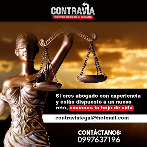 Contravia asistencia legal para el conductor - Quito