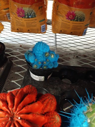 Home Improvement Store «The Home Depot», reviews and photos, 35050 N North Valley Pkwy, Phoenix, AZ 85086, USA