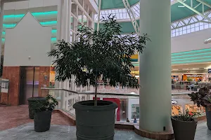 Oak View Mall image