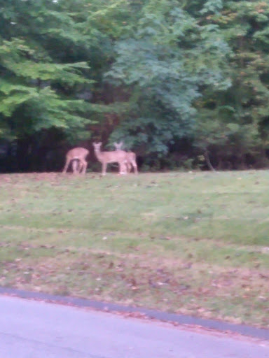 Country Club «Maryland Golf & Country Club», reviews and photos, 1335 E Macphail Rd, Bel Air, MD 21015, USA