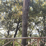 Photo n°1 de l'avis de Francesca.o fait le 29/10/2023 à 18:47 sur le  The Bubble Retreat® Marche à Sant'Ippolito