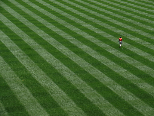 Baseball Field «Oriole Park at Camden Yards», reviews and photos, 333 W Camden St, Baltimore, MD 21201, USA