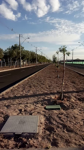 Opiniones de TTM CHILE en Pudahuel - Servicio de transporte