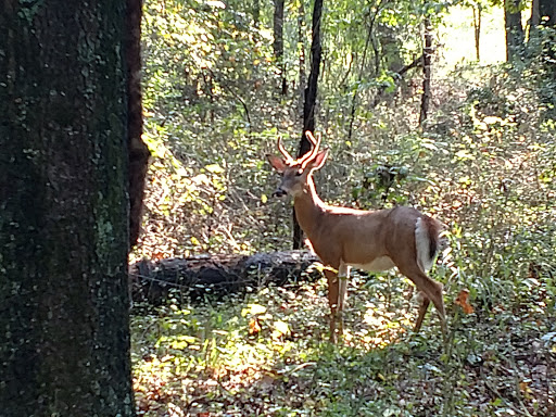 Park «Fairland Regional Park», reviews and photos, 13950 Old Gunpowder Rd, Laurel, MD 20707, USA