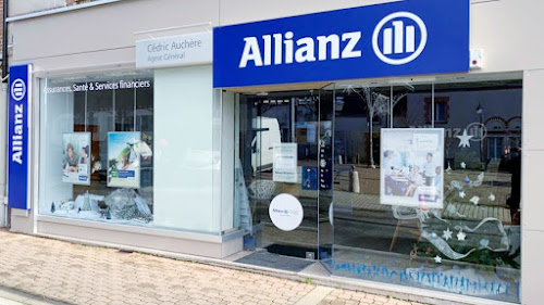 Agence d'assurance Allianz Assurance CHATEAUNEUF SUR LOIRE - AUCHERE & POLLET & THEOBALD Châteauneuf-sur-Loire