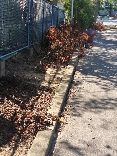 Park «Centennial Park», reviews and photos, 1 E Centennial Ave, Roosevelt, NY 11575, USA