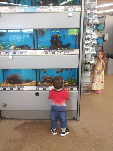 Pet Supply Store «Petco Animal Supplies», reviews and photos, 9311 192nd Ave E, Bonney Lake, WA 98391, USA