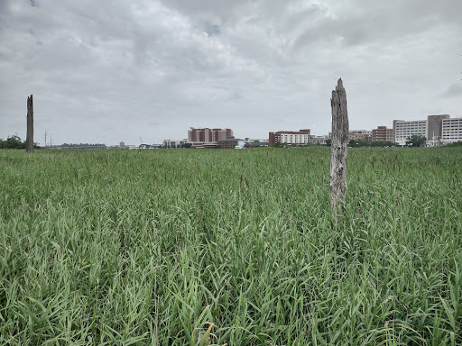 History Museum «Battleship North Carolina», reviews and photos, 1 Battleship Rd NE, Wilmington, NC 28401, USA
