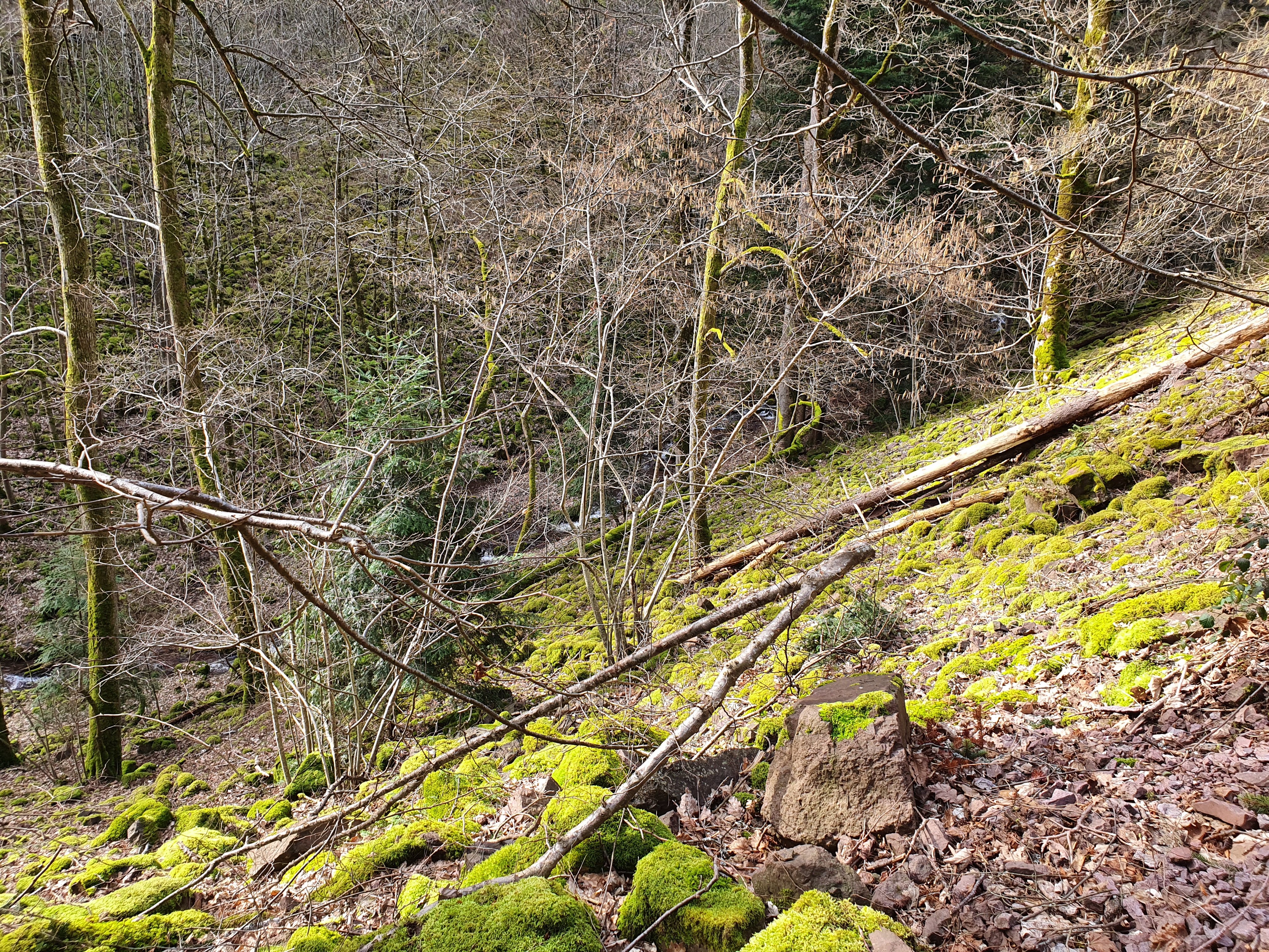 Photo n° 3 de l'avis de Alain.e fait le 23/02/2020 à 16:49