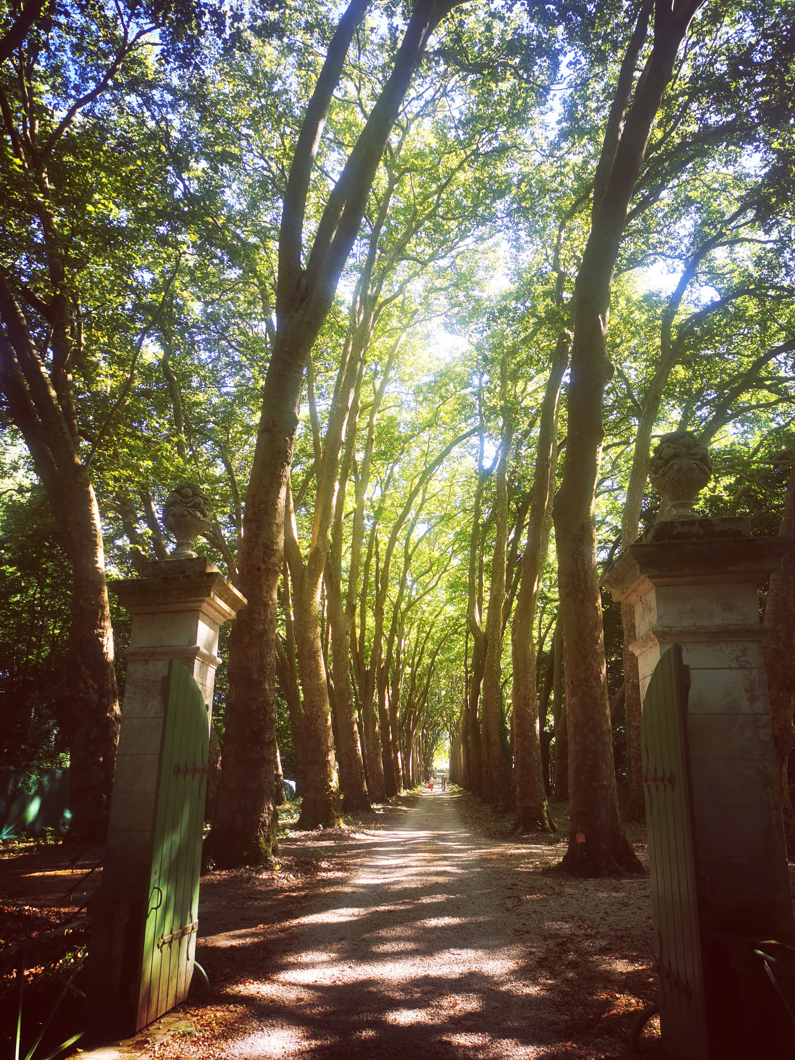 Photo n° 2 de l'avis de Laeti. fait le 09/08/2022 à 08:47