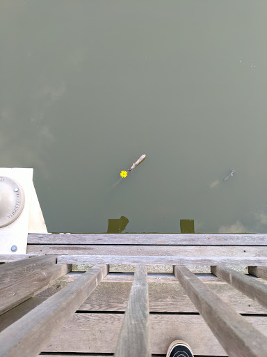 Park «Jester Park», reviews and photos, 11407 Northwest Jester Park Drive, Granger, IA 50109, USA