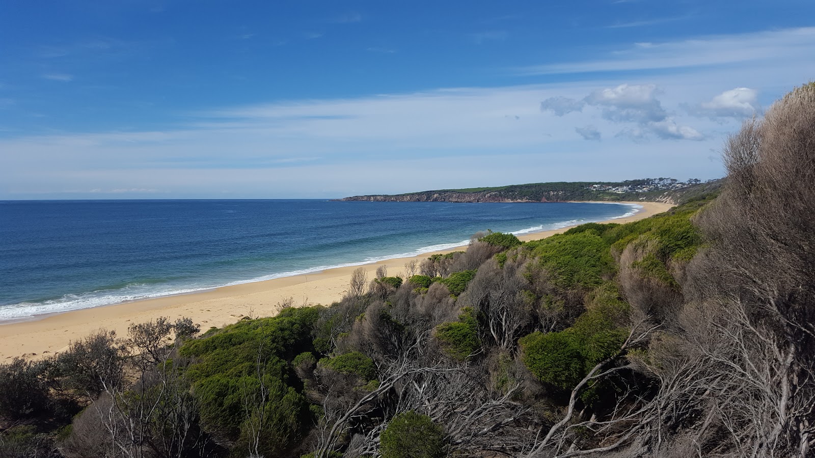 Foto de Bournda Beach con arena beige superficie