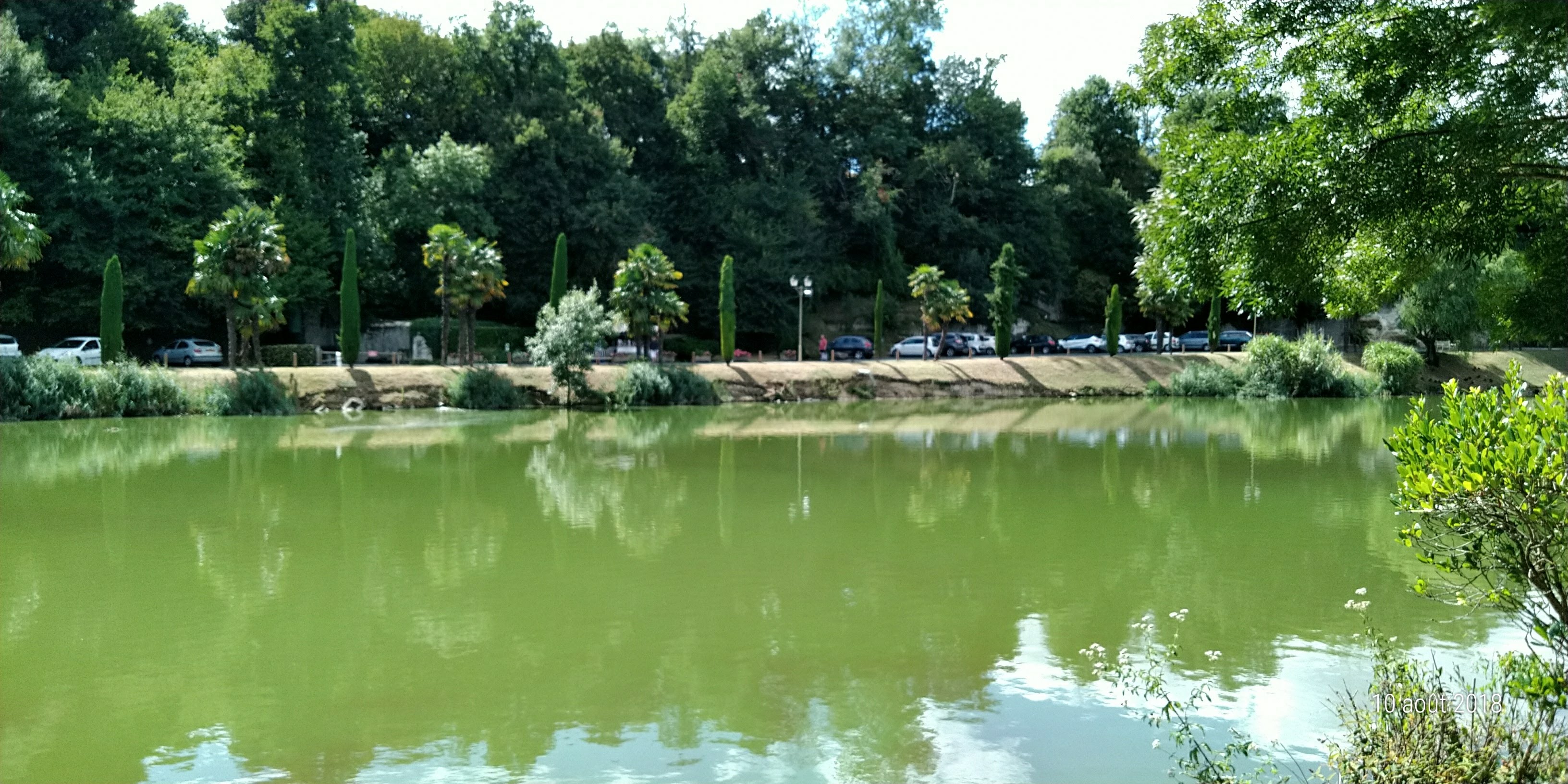 Photo n° 7 de l'avis de Famille.o fait le 13/08/2018 à 15:50