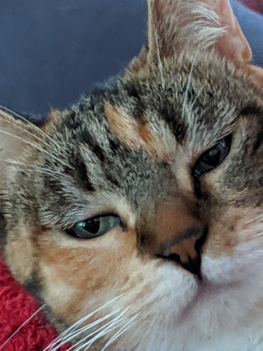 Animal Shelter «Oregon Humane Society», reviews and photos