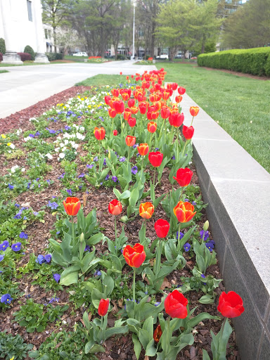 Federal Reserve Bank «Federal Reserve Bank of Atlanta», reviews and photos