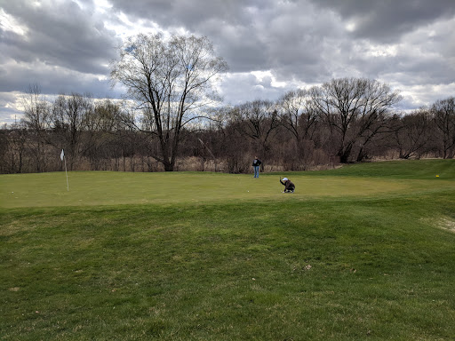Golf Course «Copper Creek Golf Course», reviews and photos, 27925 Golf Pointe Blvd, Farmington Hills, MI 48331, USA