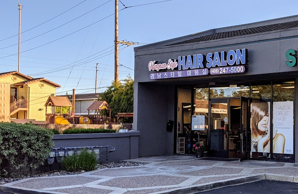 Kangnam Style Hair Salon - Santa Clara, CA 95051 - Services and Reviews