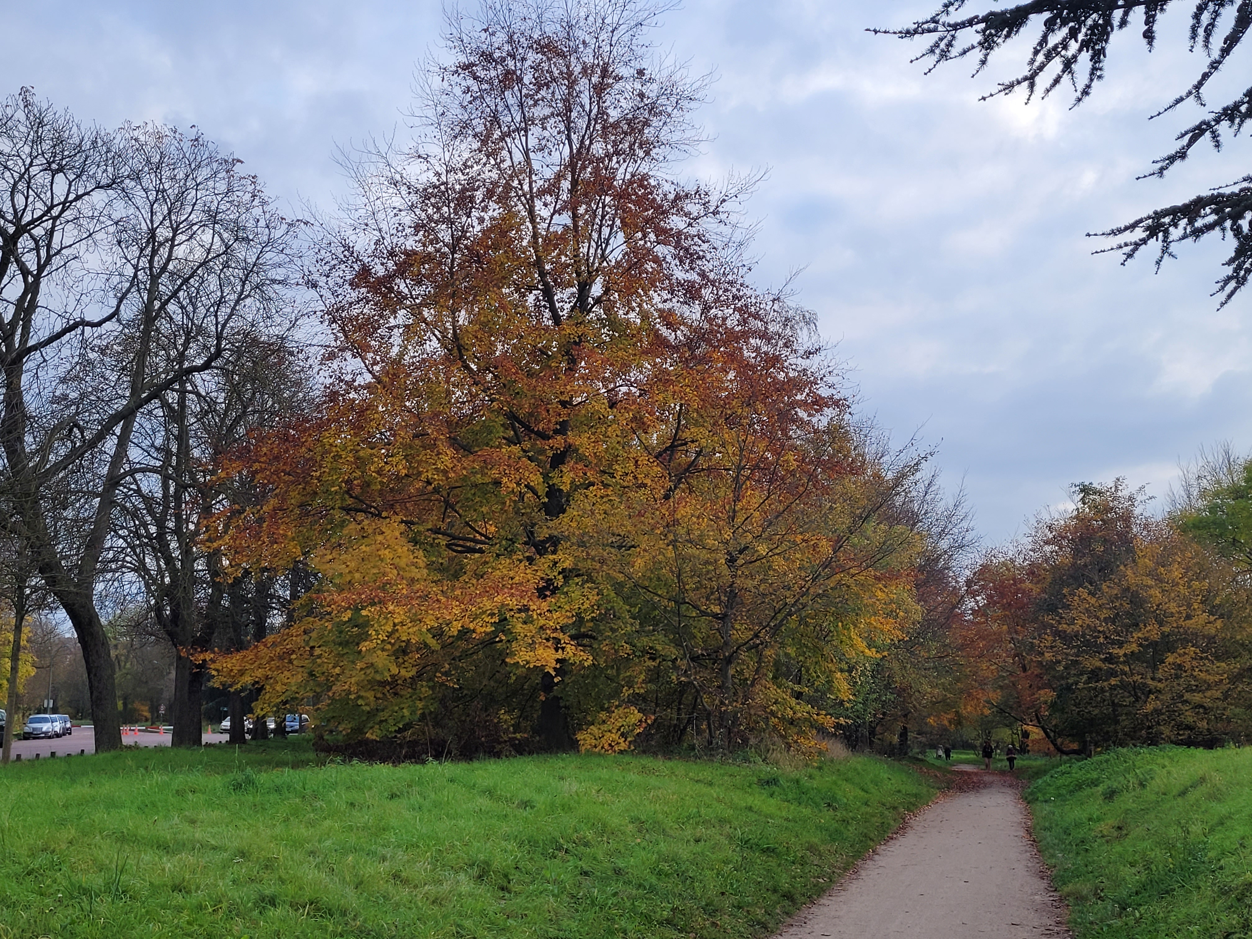 Photo n° 5 de l'avis de ernest.o fait le 17/08/2018 à 17:20