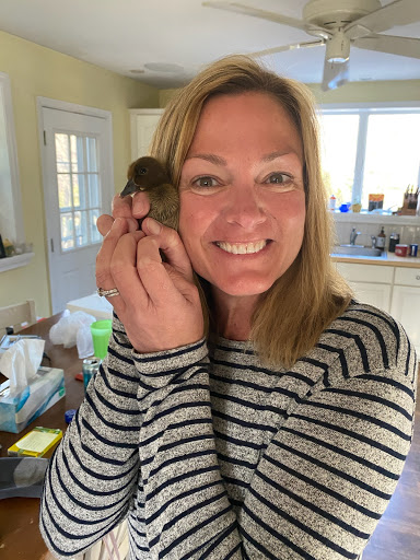 Pet Supply Store «Pickering Valley Feed & Farm Store», reviews and photos, 305 Gordon Dr, Exton, PA 19341, USA