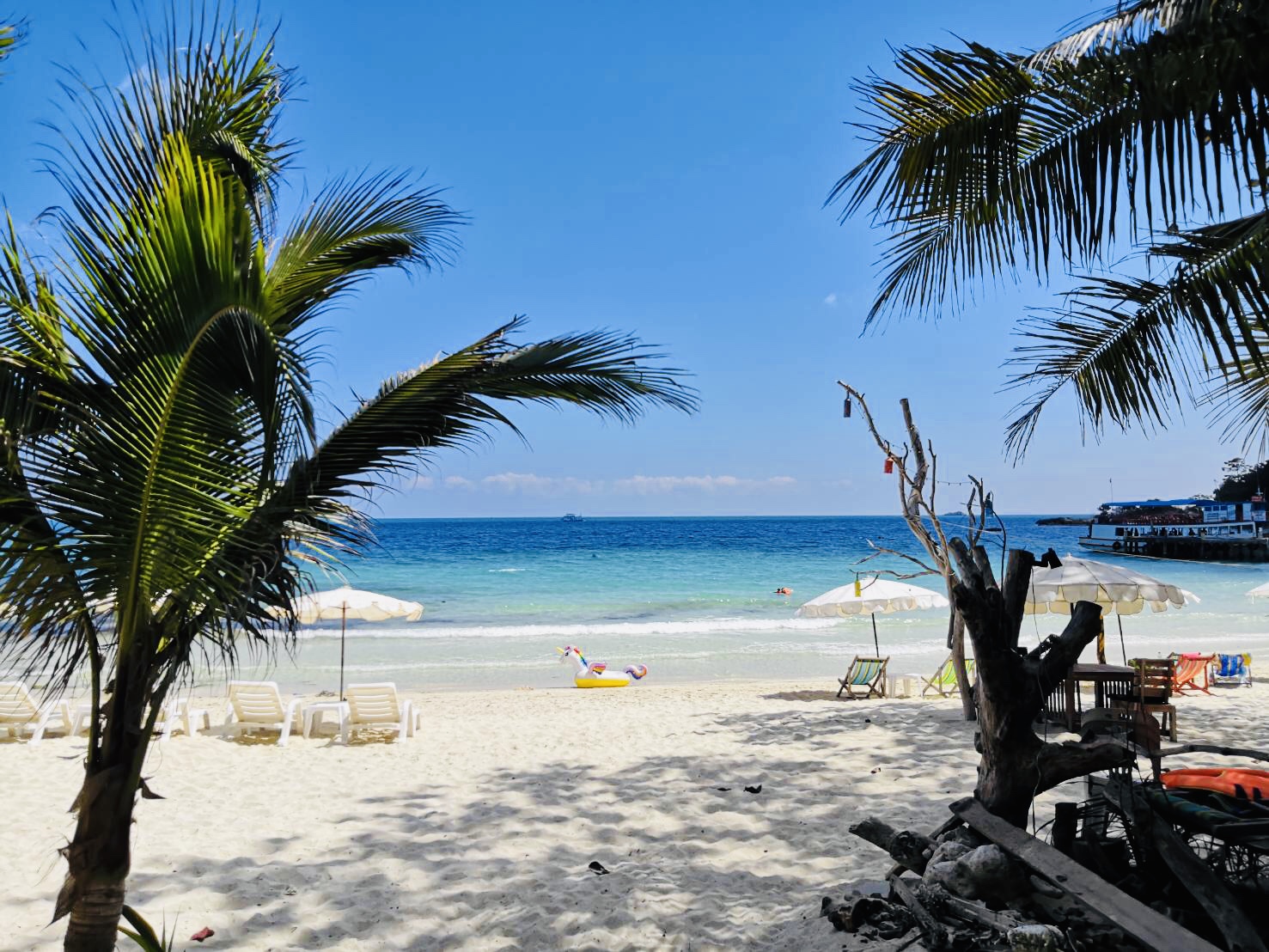 Φωτογραφία του Cho Beach παροχές περιοχής