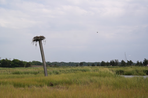 Recreation Center «Sandy Hook - Gateway National Recreation Area», reviews and photos, 128 S Hartshorne Dr, Highlands, NJ 07732, USA