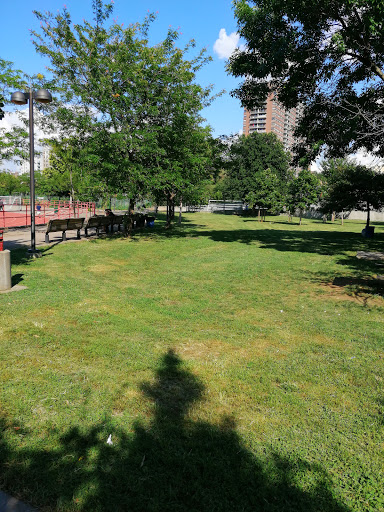 Riverbank State Park Outdoor Pool image 10