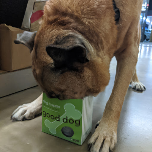 Pet Supply Store «Pet Supplies Plus», reviews and photos, 1031 Northwest Hwy, Garland, TX 75041, USA