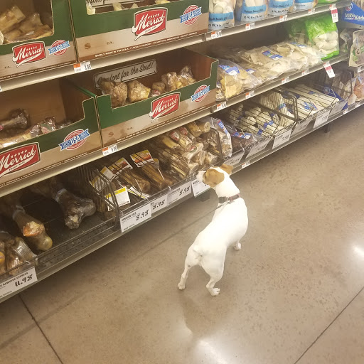 Pet Supply Store «Pet Supplies Plus», reviews and photos, 4524 Heritage Trace Pkwy, Fort Worth, TX 76244, USA