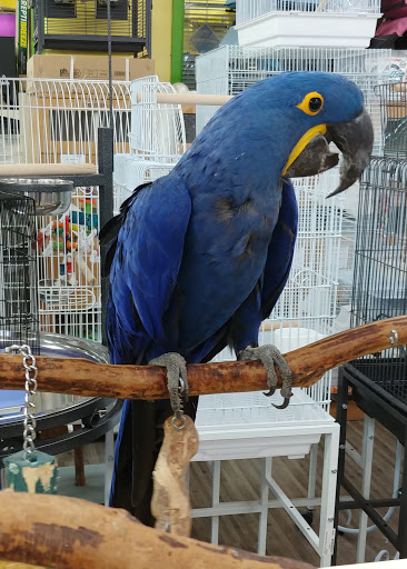 Pet Supply Store «Our Pet World», reviews and photos, 380 Semoran Commerce Pl, Apopka, FL 32703, USA