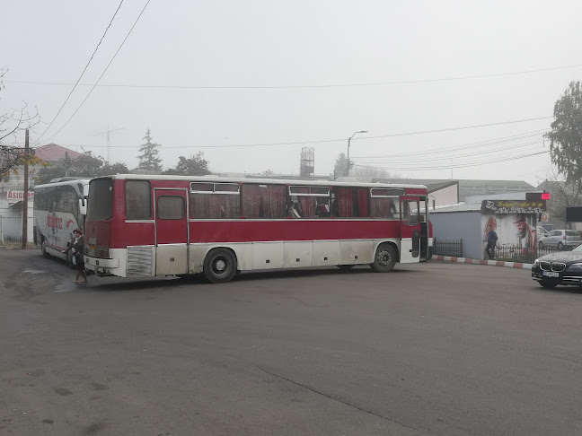 Suceava's Central Bus Station - Închiriere de mașini
