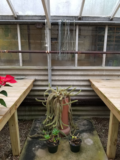 Florist «Richards Flower Shop», reviews and photos, 1312 N Mantua St, Kent, OH 44240, USA