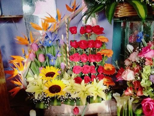 Floreria Iris – Zacatecas