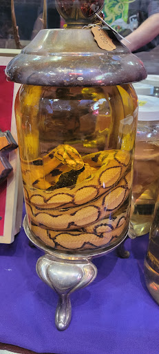 Book Store «Psychic Eye Book Shops», reviews and photos, 6848 W Charleston Blvd, Las Vegas, NV 89117, USA