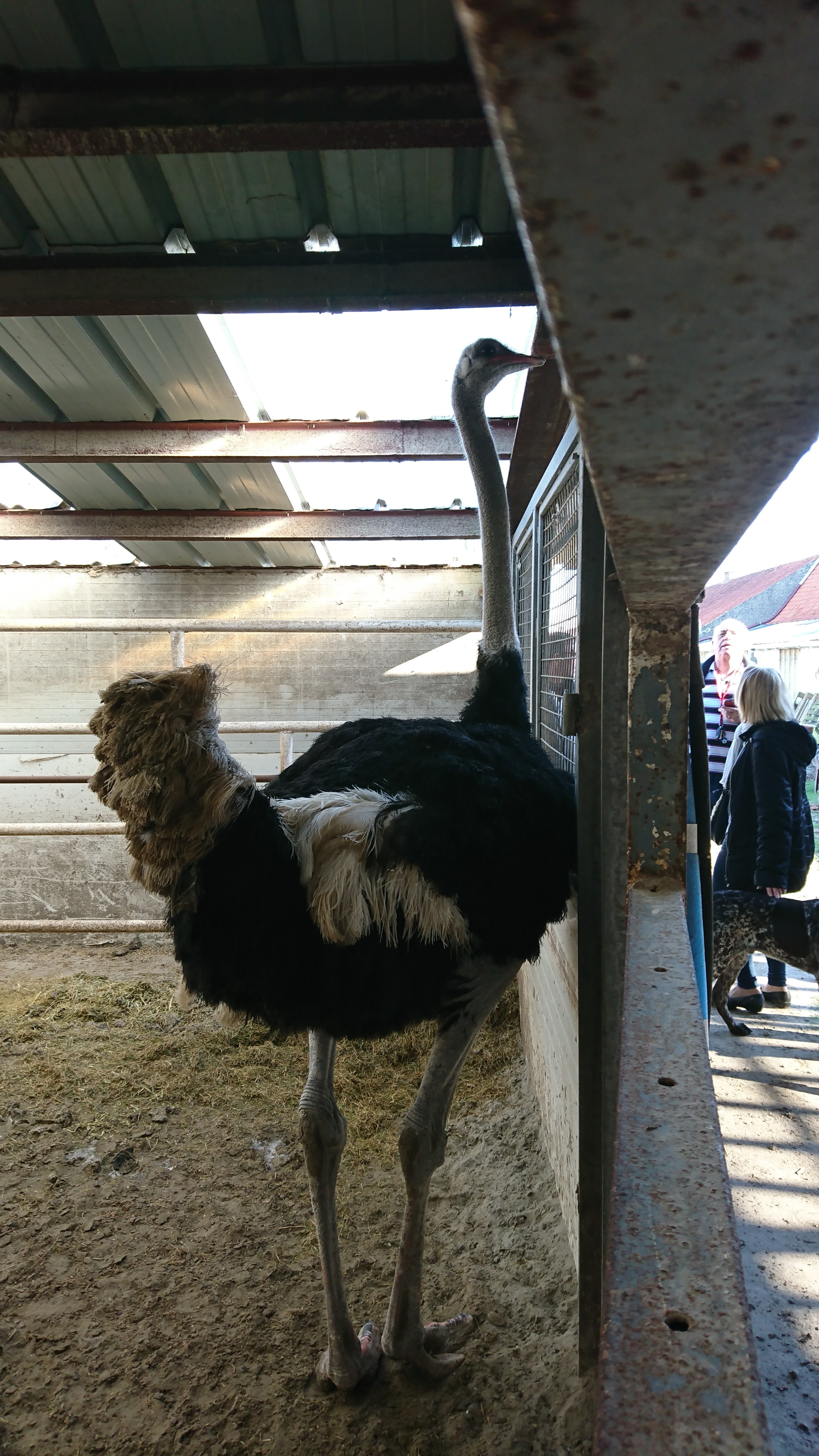 Photo n° 6 de l'avis de Lucienne.C fait le 26/02/2019 à 15:48