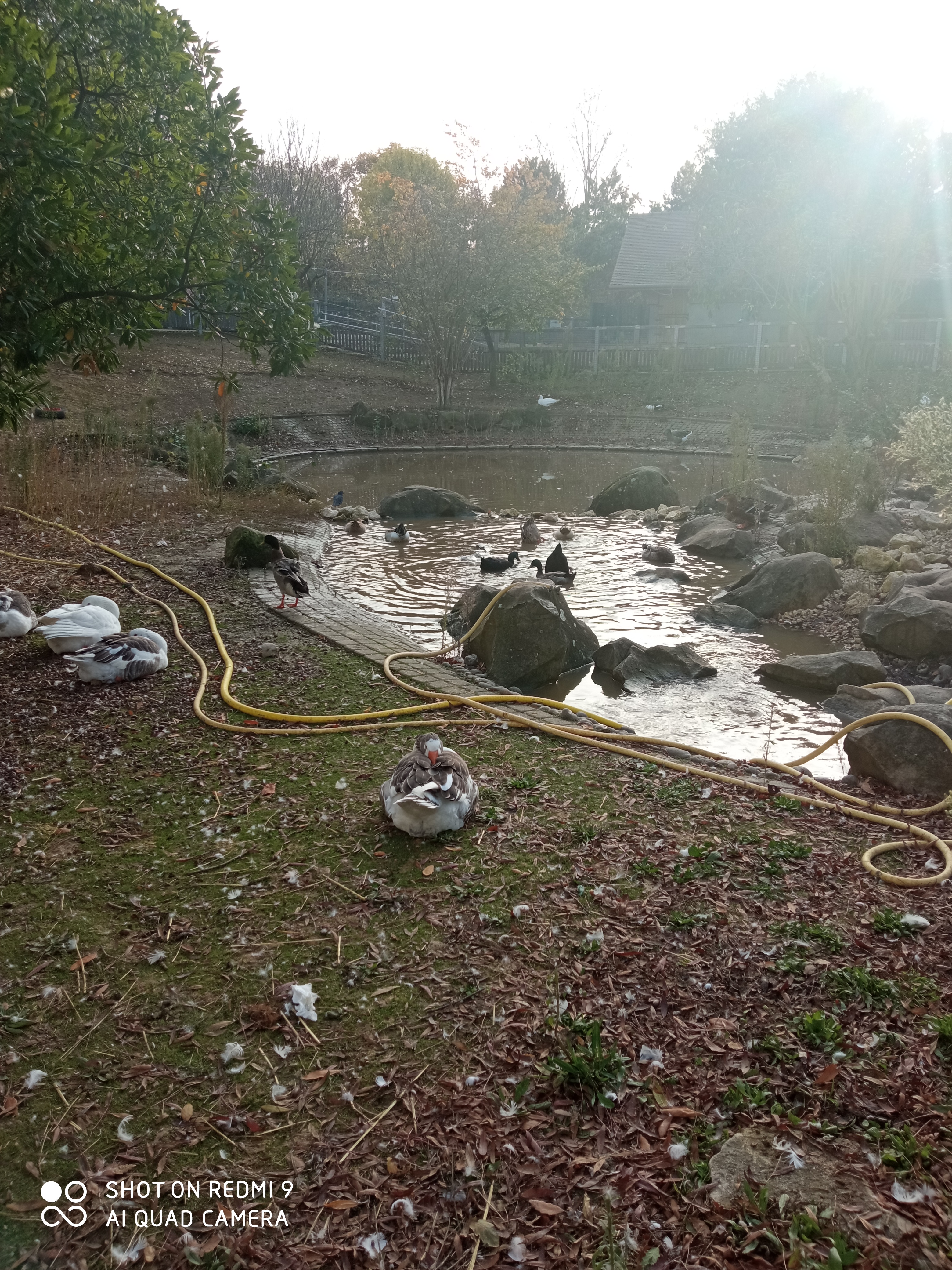 Photo n° 13 de l'avis de reseauoutremer.2 fait le 07/11/2020 à 18:39