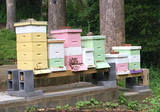Alexandria Honey Company